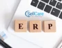 ERP software