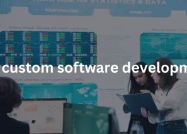 b2b custom software development