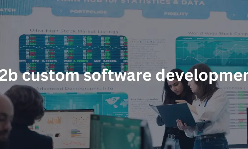 b2b custom software development