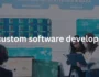 b2b custom software development