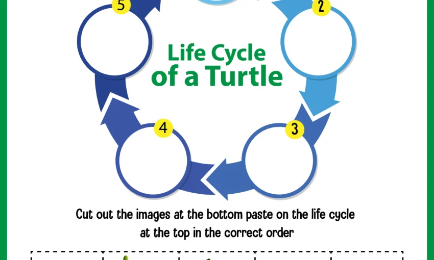 Floyd's Cycle-Finding Algorithm